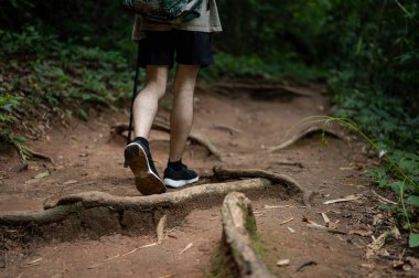 Doğa dağ yolunda tek başına yürüyen ve yeşil ormanı keşfeden bir erkek yürüyüşçünün yakın plan görüntüsü. Patika koşusu, yürüyüş, doğa aktivitesi