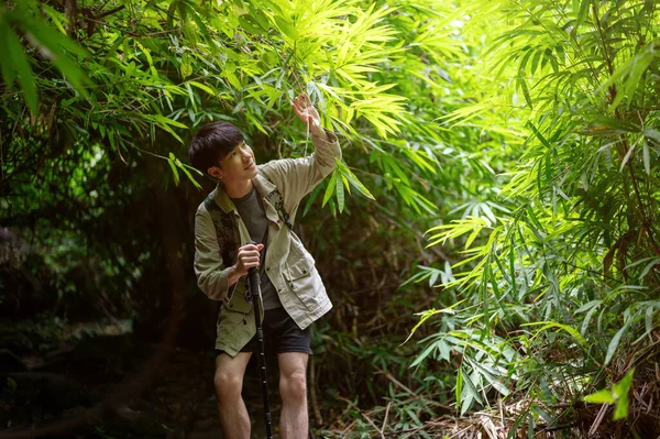 Een Gelukkige Ontspannen Aziatische Mannelijke Reiziger Wandelaar Genieten Van Natuur — Stockfoto