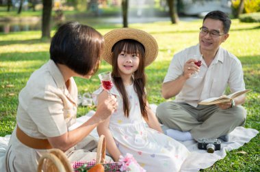 Sevimli genç bir Asyalı kız yeşil bir parkta piknik yaparken büyükannesi ve büyükbabasıyla konuşmaktan zevk alıyor. Aile bağları, büyük anne ve büyük baba ve torun