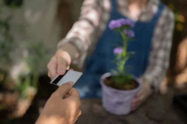 Close-up image of a customer handing a credit card to a male florist or flower shop owner, buying a potted flower. cashless payment concept