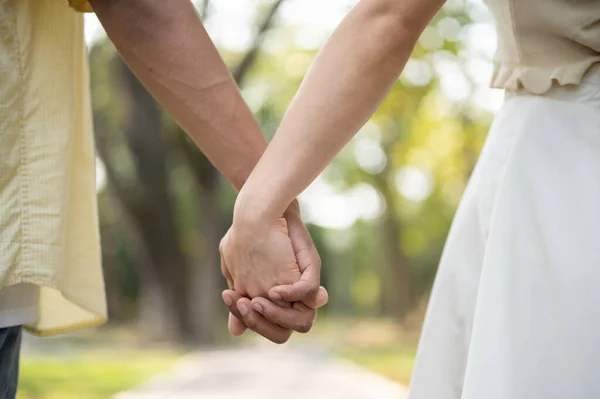 Close-up image of a young lovely couple holding hands while walking in a green park on a bright day. lovely couple, relationship, boyfriend and girlfriend, husband and wife, bonding