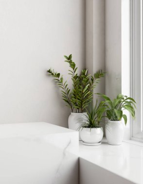Ürünleri beyaz mermer bir kaide üzerinde beyaz bir konsol masasına karşı minimalist bir odada saksı bitkilerinin sergilendiği bir alan. 3d görüntüleme, 3d illüstrasyon