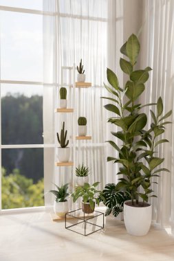 Çağdaş minimalist bir odada pencere kenarında iç mekan bitkileri ve sulu bitkilerle dolu küçük bir tezgah. ev dekorasyonu, ev dekorasyonu, 3D çizim, 3D resimleme