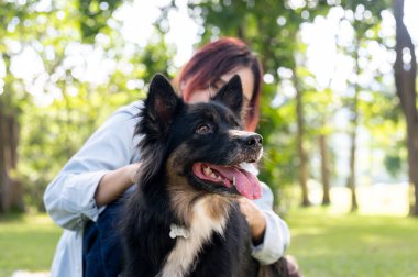 Asyalı bir kadın güneşli bir günde köpeğini parkta eğitiyor. Çimlerin üzerinde evcil hayvanıyla otururken dışarıda eğleniyor. Bağlanma, aşk, eğlence zamanı, insan ve hayvanlar