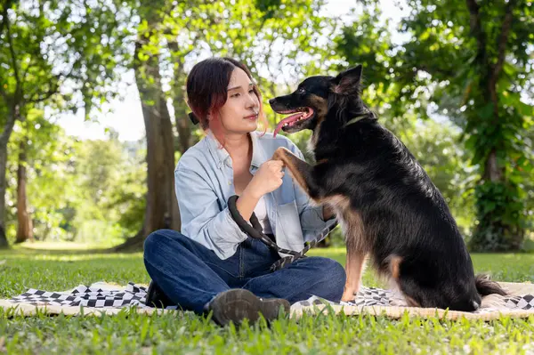 stock image A happy Asian woman is talking to her dog while sitting on a picnic cloth in a park, training and enjoying outdoor activities together. pet, animal, friendship