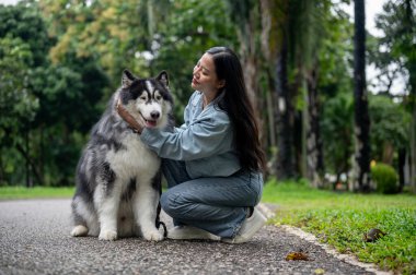 Kot pantolon giymiş neşeli bir Asyalı kadın yeşil halka açık bir parkta yürüyüş yaparken Sibiryalı köpeğiyle oynuyor. evcil hayvan, en iyi arkadaş, köpek sever, hayvan evlat edinen, hayvan sever.