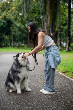 Mutlu bir Asyalı bayan köpek sahibi köpeğine tenis topu veriyor, yeşil bir parkta eğlenirken itaat etmesi için eğitiyor. Köpek gezdirici, köpek eğitmeni, en iyi arkadaş.