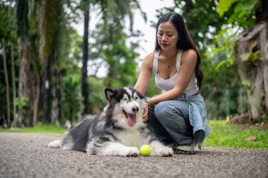 Güzel bir Sibirya köpeği parkta bir sokakta yatıyor. Yanında bir tenis topu ve sahibiyle birlikte dışarıda iyi vakit geçiriyor. Dişi bir köpek sahibi konuşuyor ve köpeğini okşuyor..