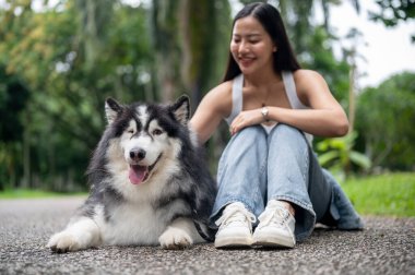 Güzel, mutlu bir Sibirya köpeği kameraya gülümsüyor, yeşil bir parkta sahibesiyle oturuyor, dışarıda eğleniyor..