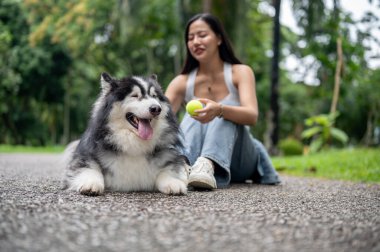 Güzel bir Asyalı bayan köpek sahibi yeşil bir parkta oturuyor, köpeğiyle oynuyor ve ona itaat etmesini ve top alması için el sıkışmasını öğretiyor..