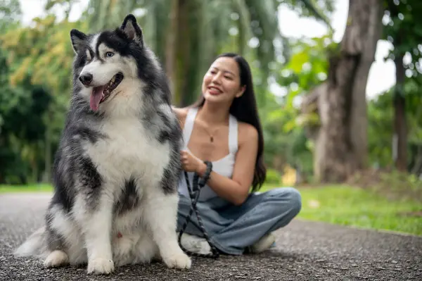 Tasmalı güzel bir Sibirya köpeği ve Asyalı bayan sahibi yeşil bir parkta birlikte oturuyorlar ve dışarıda eğleniyorlar. Hayvan, hayvan, en iyi arkadaş.