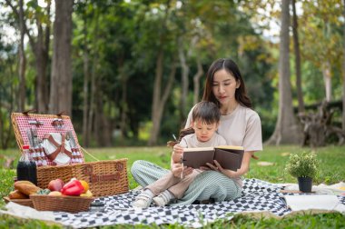 Şefkatli ve nazik bir Asyalı anne, güneşli bir günde yeşil bir parkta piknik yaparken küçük oğluna kitap okur. annelik, çocukluk, açık hava aktivitesi