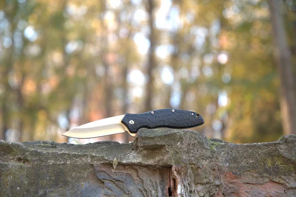 Folding knife beautiful design cutting silver blade black handle outdoor nature gray stone macro background