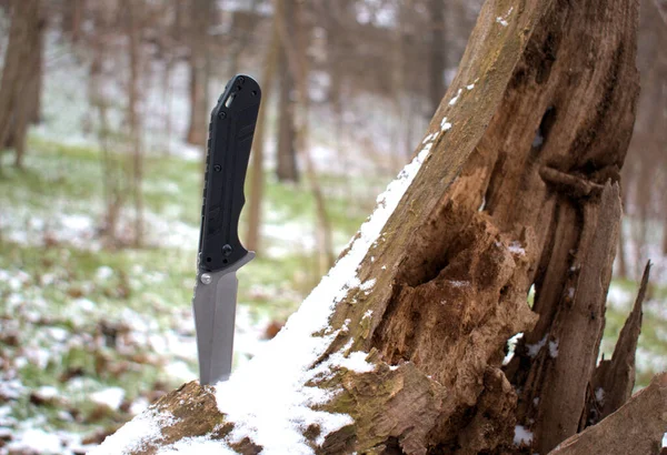 Folding knife beautiful design cutting silver edge black handle first snow dry wood background