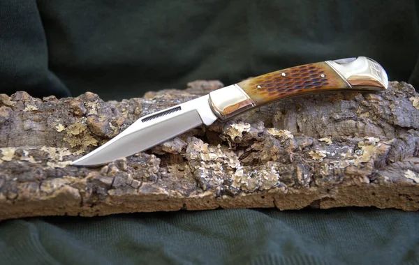Folding knife beautiful design cutting silver edge natural stag handle dry wood green background