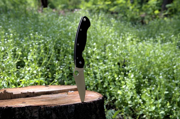 Folding knife beautiful design cutting silver edge black carbone fiber handle dry brown tree stump green grass background