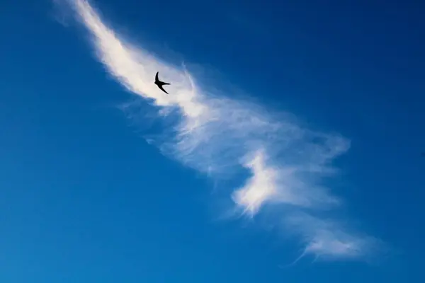 雲の中を素早く空を飛ぶ — ストック写真