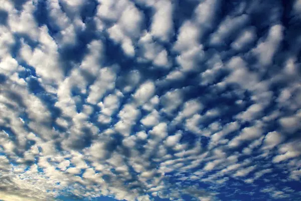 青空に浮かぶふわふわの珍しい雲 — ストック写真