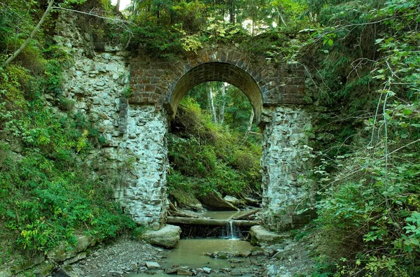 ancient bridge over the river in the forest