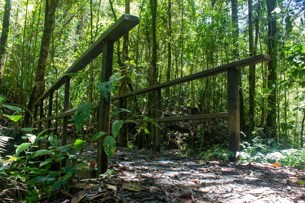 Kinabalu Ulusal Parkı, Sabah, Malezya 'da yürüyüş yapmak için kullanılan patikanın yolu üzerinde köprü var. Kinabalu Ulusal Parkı içinde UNESCO 'nun çalışma alanı olan manzaralı bir patika..