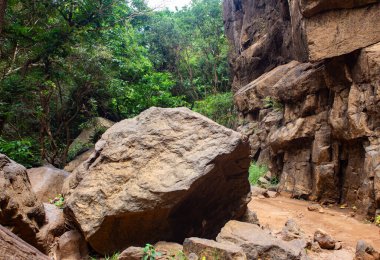 Hindistan 'ın Namakkal ilçesi, Doğu Ghat bölgesindeki Kolli Hills' teki Agaya Gangai şelalesine giden Rocky yolu..