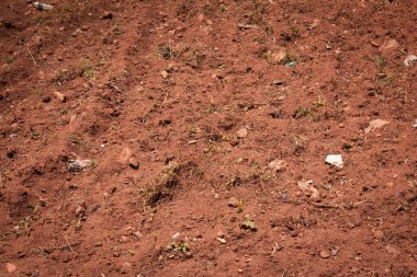 Toprağı sürmeye hazır, Kolli tepeleri, Tamil Nadu, Hindistan. Tarım tarlası ekime hazır..