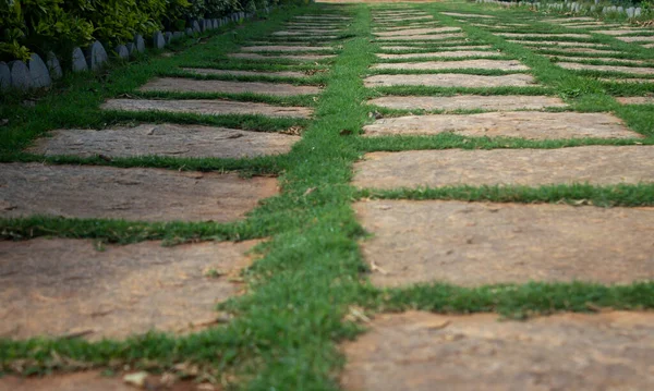 Walkway Park Stones Laid Grass Path Stones Garden — Stock Photo, Image