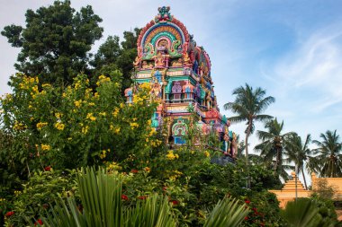 Sri Panduranga Swamy Tapınağı 'nın kulelerinden biri, Thennangur, Tamil Nadu, Hindistan