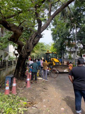 Chennai, Tamil Nadu, Hindistan - 05 Aralık 2023: Büyük Chennai Şirketi çalışanları Michaung kasırgasının etkisiyle devrilen ağacın enkazını temizliyorlar.