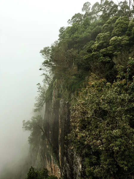 Kodaikanal tepelerinin kayalık arazisinin manzarası. Etrafı sis kaplamış..