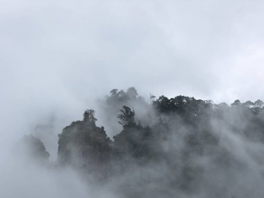 Sis, Sütun kayaları, Kodaikanal, Tamil Nadu olarak bilinen 3 dikey kayayı kaplıyor