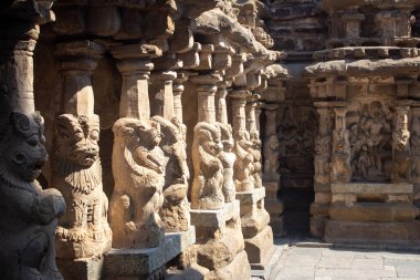 Kailasanathar Tapınağı 'nın sütunları aynı zamanda Kailasanatha tapınağı, Kanchipuram, Tamil Nadu, Hindistan olarak da bilinir. Bu bir Pallava dönemi tarihi Hindu tapınağı..