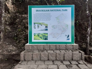 Kannan Devan Hills, Kerala, Hindistan - 18 Mayıs 2024: Eravikulam Ulusal Parkı Kannan Devan Tepeleri 'nde yer almaktadır. Kerala 'nın Idukki ilçesinin Devikulam Taluk ilçesinde yer almaktadır.