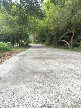 Nadukani Pavyonu 'na giden yol, Kerala' nın İdukki Vadisi 'ndeki Muvattupuzha Nehri' nin köpüklü sularını kaplayan pitoresk bir manzara sunuyor. Önplana odaklan.