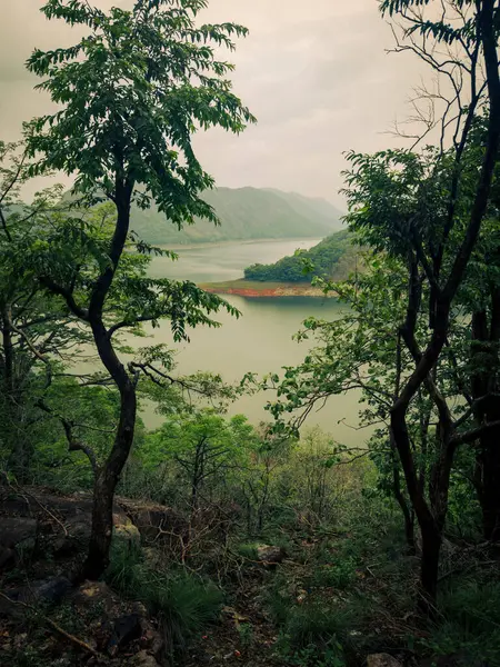 stock image Beautiful view through the trees of the Idukki reservoir beuilt across Periyar river, Idukki district, Kerala.