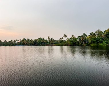 Hindistan 'ın Kerala eyaletindeki Kochi durgun sularının güzel manzarası. Kochi (ayrıca Cochin olarak da bilinir) birçok durgun sulara sahip bir kıyı kentidir..