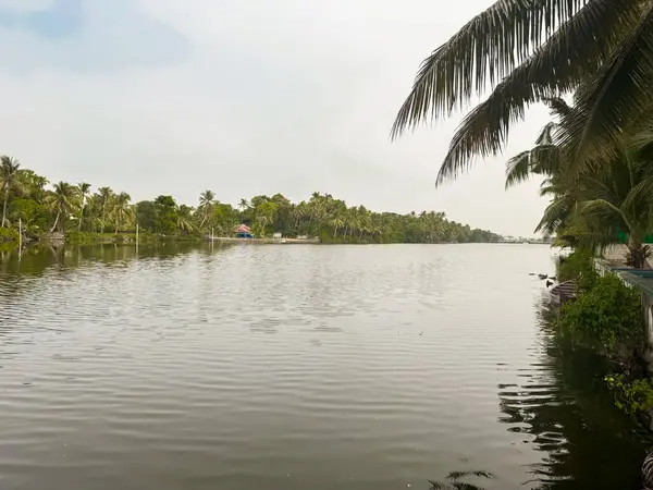 Hindistan 'ın Kerala eyaletindeki Kochi durgun sularının manzarası. Kochi (ayrıca Cochin olarak da bilinir) birçok durgun sulara sahip bir kıyı kentidir..