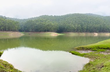 Munnar 'daki Echo Point, Nilgiri Tepeleri, Munnar, Kerala tepeleri arasında popüler bir turistik yerdir.