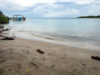 Tamil Nadu 'nun güneyindeki Pamban Adası' nın güneyindeki Mannar Körfezi 'nde bulunan Krusadai Adası boyunca uzanan sahil. Ön plandaki kumsala odaklan