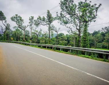 Çay tarlası boyunca Ghat yolu bölümü, Poopara Fotoğrafı ve Manzara Noktası, Kerala