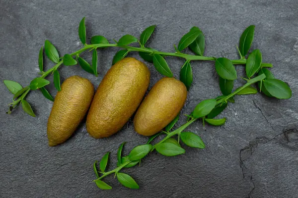 stock image Ripe burgundy oblong citrus fruits with green sprigs on the black slate slab, close-up. Australian finger lime plant indoor growing. Microcitrus australasica, Faustrimedin