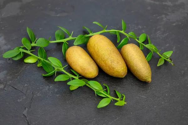 stock image Ripe burgundy oblong citrus fruits with green sprigs on the black slate slab, close-up. Australian finger lime plant indoor growing. Microcitrus australasica, Faustrimedin