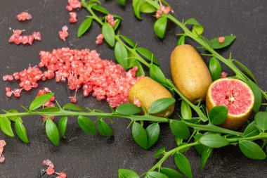 Ripe burgundy oblong fruits and delicious pink citrus caviar on the black slate slab decorated with a green plants sprig, close-up. Outlandish Australian finger lime plant indoor growing clipart