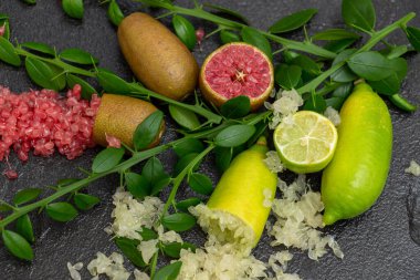 Ripe yellow and burgundy oblong citrus fruits with green sprigs on the black slate slab, close-up. Australian finger lime plant indoor growing. Microcitrus australasica, Faustrimedin clipart