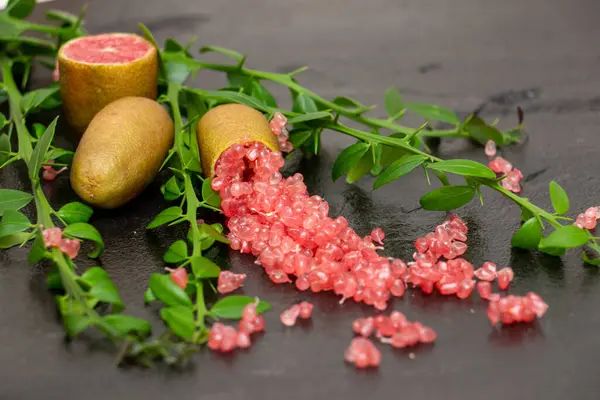 stock image Ripe burgundy oblong fruits and delicious pink citrus caviar on the black slate slab decorated with a green plants sprig, close-up. Microcitrus australasica, Australian finger lime, Faustrimedin