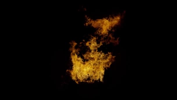 Fire Isolated Flame Alpha Channel Flames Fire Background Black Overlays — ストック動画