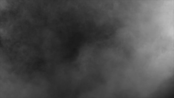 White Natural Steam Fog Smoke Effect Solid Black Background Abstract — Video