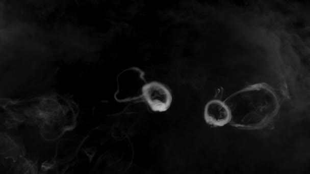 White Natural Steam Fog Rings Smoke Effect Solid Black Background — Video