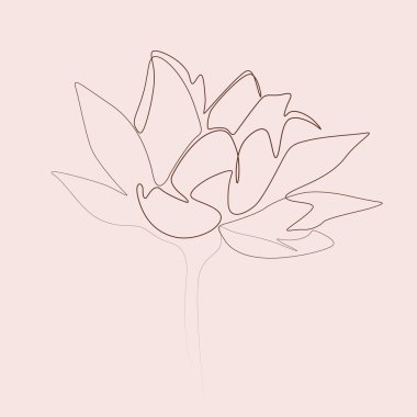 A sprig of blooming lily flower vector line art illustration. One Line style drawing of single flower. Simple hand drawn elements. Vector illustration