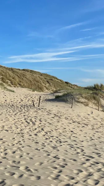 Seashore North Sea Natural Coastline Netherlands Landscapes Beautiful Postcards — Stock Photo, Image